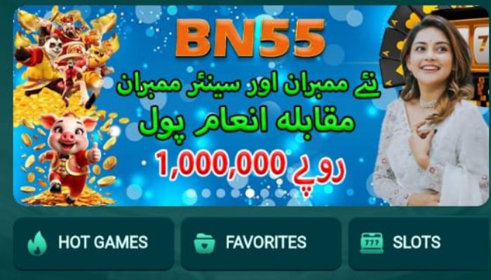 BN55 Game Interface