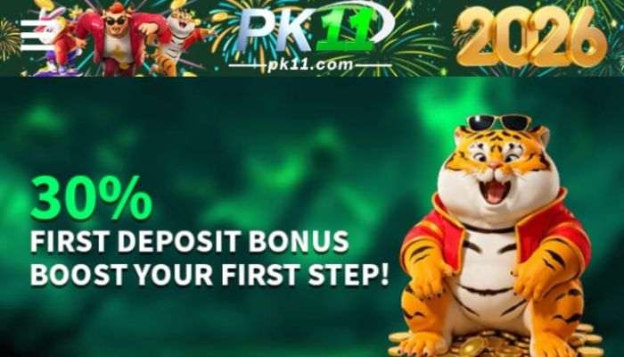 PK11 Game Download